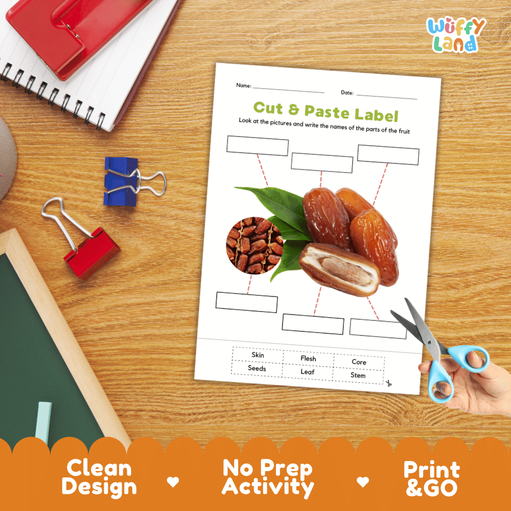 Printable plant biology worksheet showing realistic sliced and whole dates with blank labeling boxes and a vocabulary word bank for writing practice