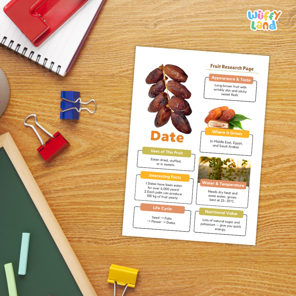 Date Fruit Research Page Worksheets Plant Science Activity