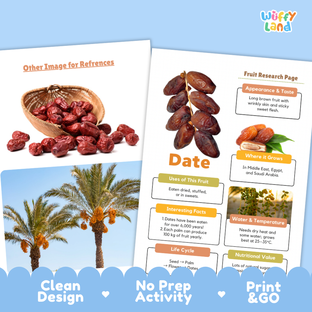 Date Fruit Research Page Worksheets Plant Science Activity