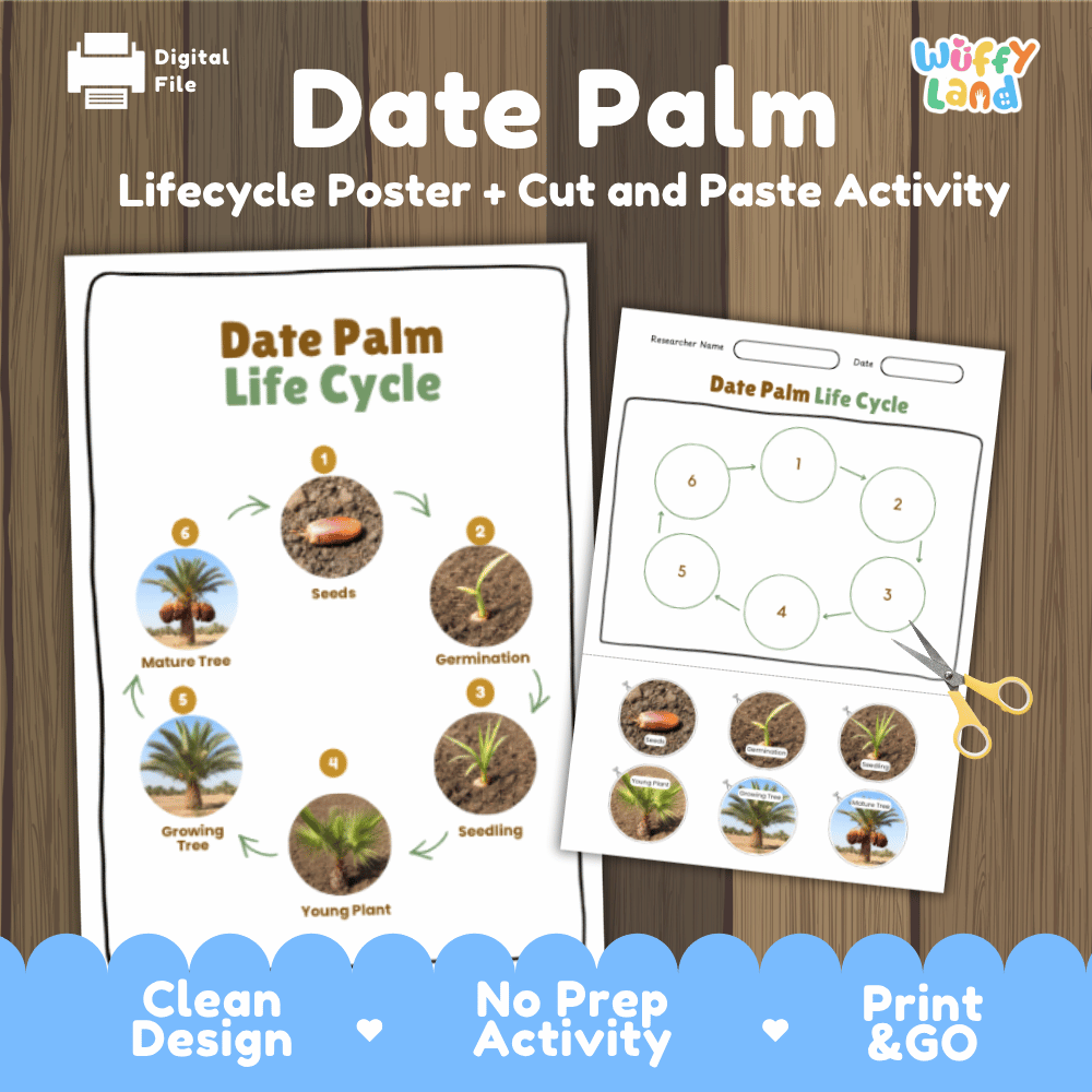 Date Palm Lifecycle Poster and Cut and Paste Activity Worksheets | Plant Science Printables