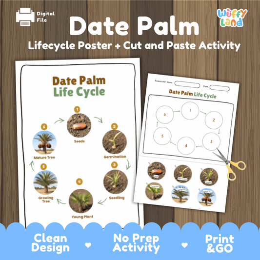 Date Palm Lifecycle Poster and Cut and Paste Activity Worksheets | Plant Science Printables