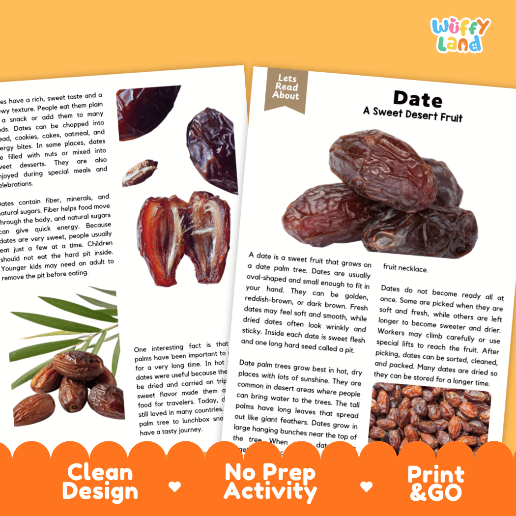An educational activity booklet page from 'Wuffly Land' titled 'Date: A Sweet Desert Fruit', featuring a photo of a woman holding a date palm tree, text descriptions, and an orange banner at the bottom reading 'Clean Design', 'No Prep Activity', and 'Print & GO'.