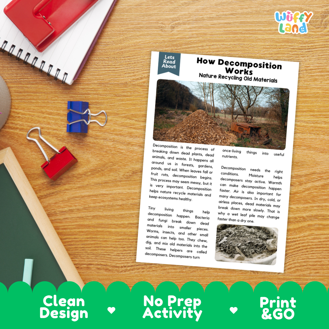 Printable student worksheet with short-answer reading comprehension questions covering decomposition and ecology