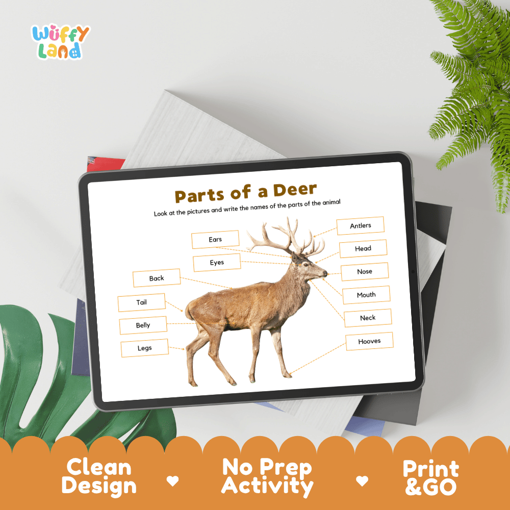 Cut and paste deer anatomy worksheet with word cutout labels for antlers, head, neck, belly, hooves, and tail