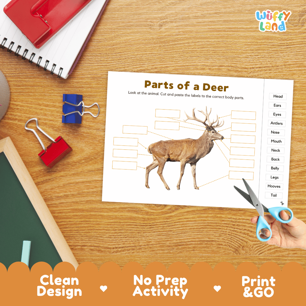 Animal body parts writing worksheet featuring a realistic deer diagram with blank text boxes and a vocabulary word bank