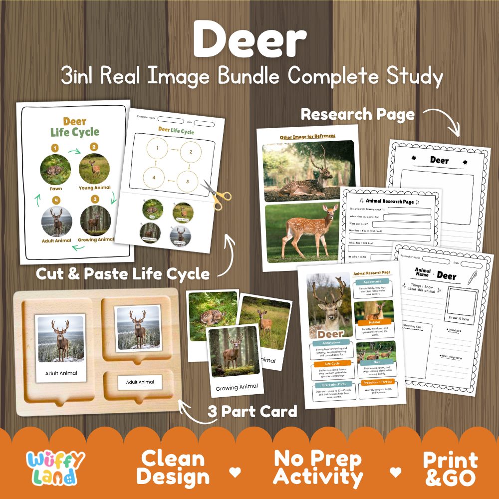 Deer 3-in-1 real image bundle complete study cover showing cut and paste life cycle, 3 part cards, and research pages