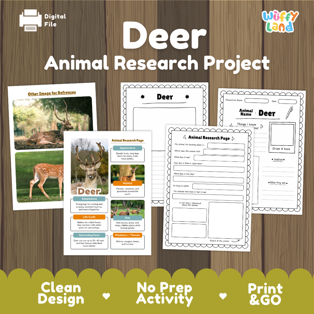 Digital preview of a 'Deer Animal Research Project' activity sheet set by Wiffly Land, displayed on a wood-grain background with feature badges at the bottom.