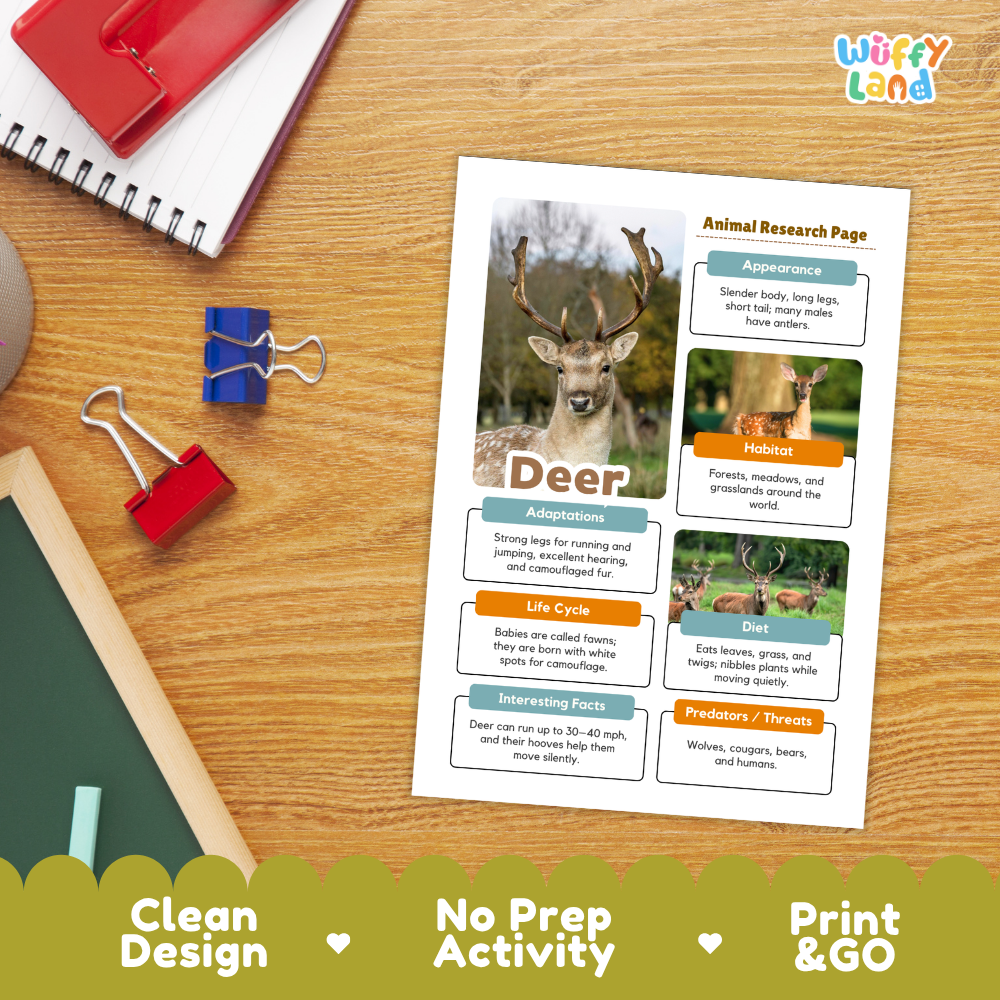 An educational animal research page about deer, printed on a white sheet and placed on a wooden desk with notebooks, binder clips, and a pencil visible around it. The page includes a deer photo, text sections, and the brand name 'Wiffly land' in the top right corner.