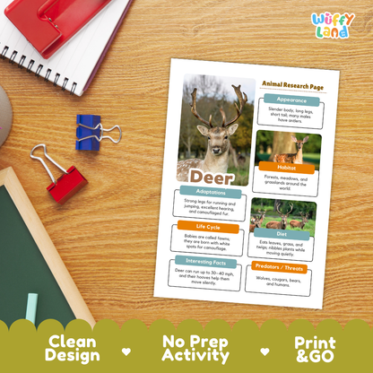 An educational animal research page about deer, printed on a white sheet and placed on a wooden desk with notebooks, binder clips, and a pencil visible around it. The page includes a deer photo, text sections, and the brand name 'Wiffly land' in the top right corner.