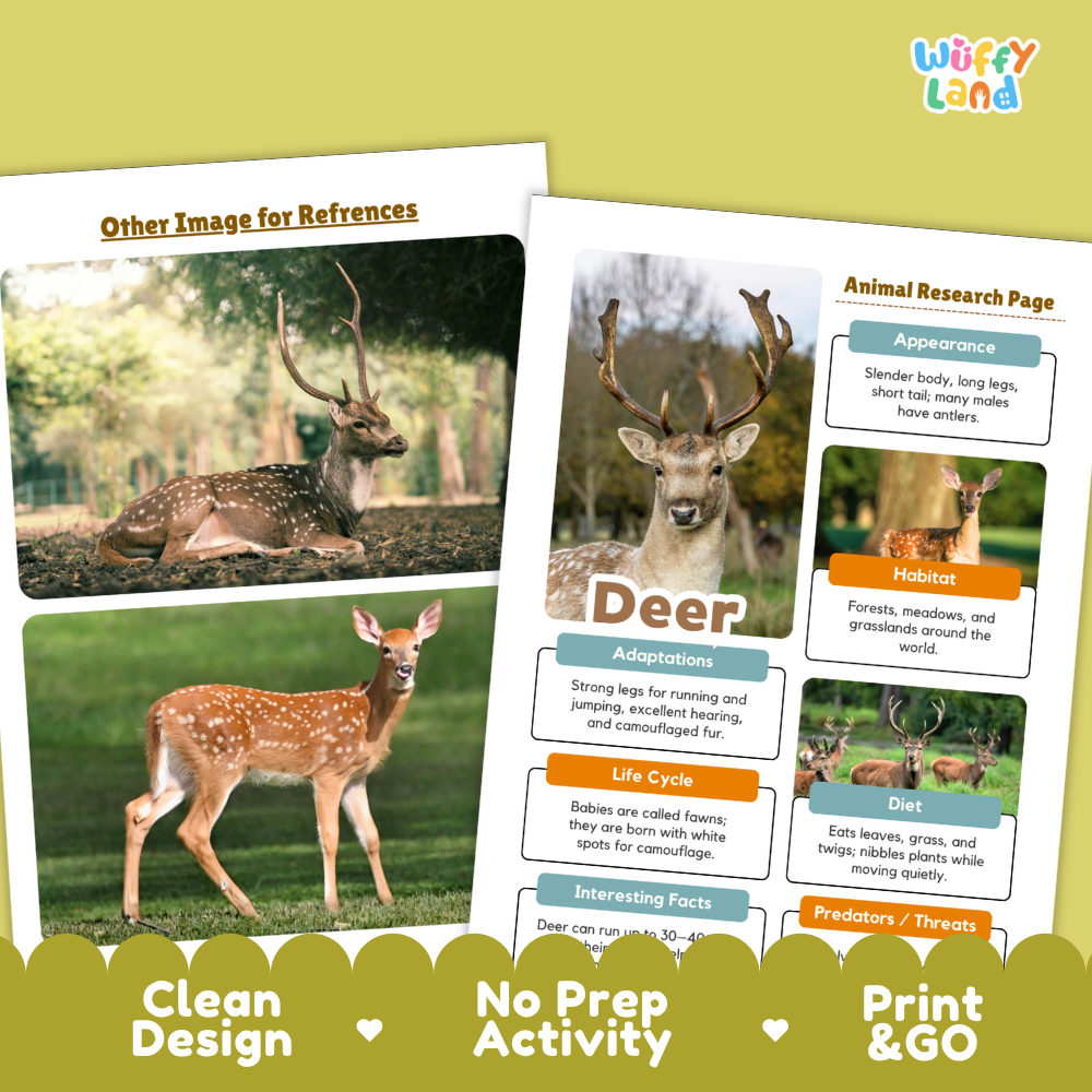 Two printed reference activity sheets for deer displayed on a light olive background. The sheets show labeled sections including appearance, habitat, adaptations, life cycle, diet, and predators, with photos of deer and text boxes.