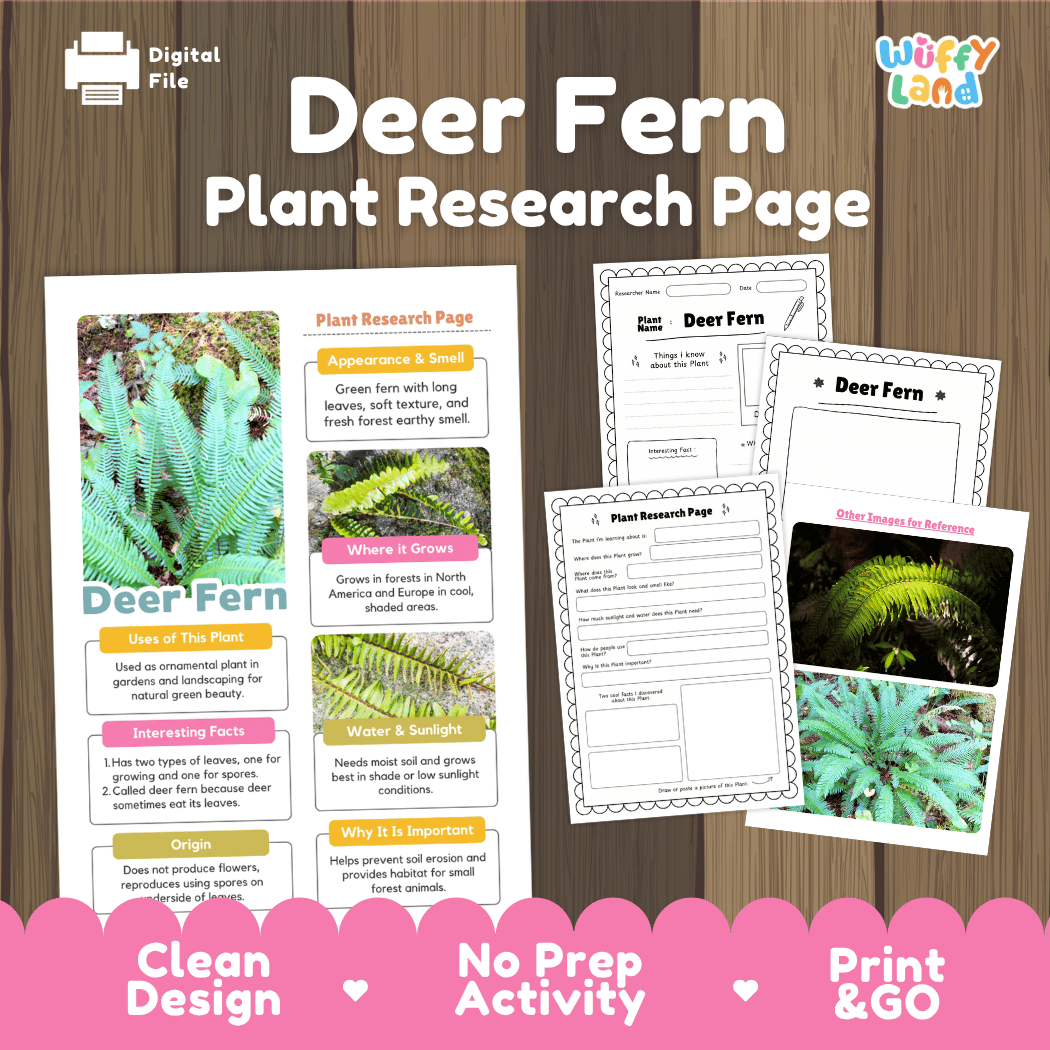 Deer Fern Plant Research Pages and Worksheets