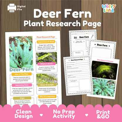Deer Fern Plant Research Pages and Worksheets