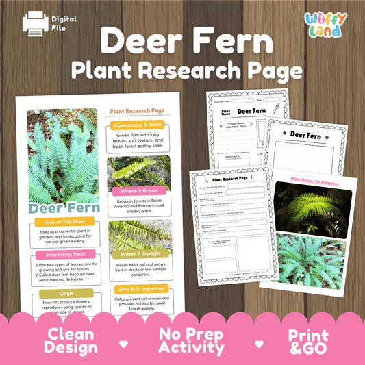 Student plant research page writing worksheets with real close up deer fern fronds and temperate forest photos, lined note-taking prompts, and drawing frames