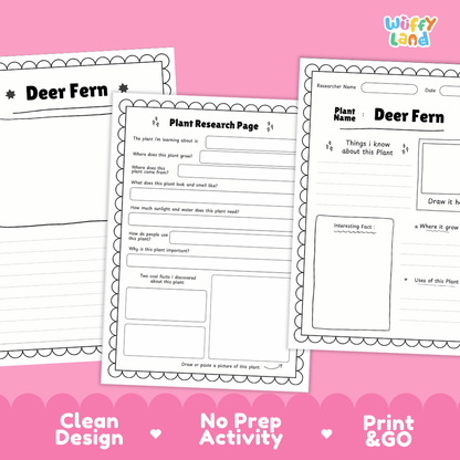 Deer Fern Plant Research Pages and Worksheets