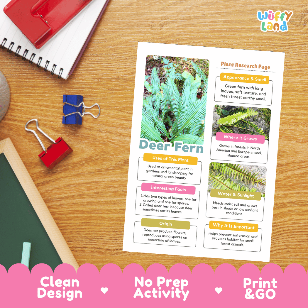 Deer Fern Plant Research Pages and Worksheets