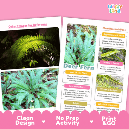 Deer Fern Plant Research Pages and Worksheets
