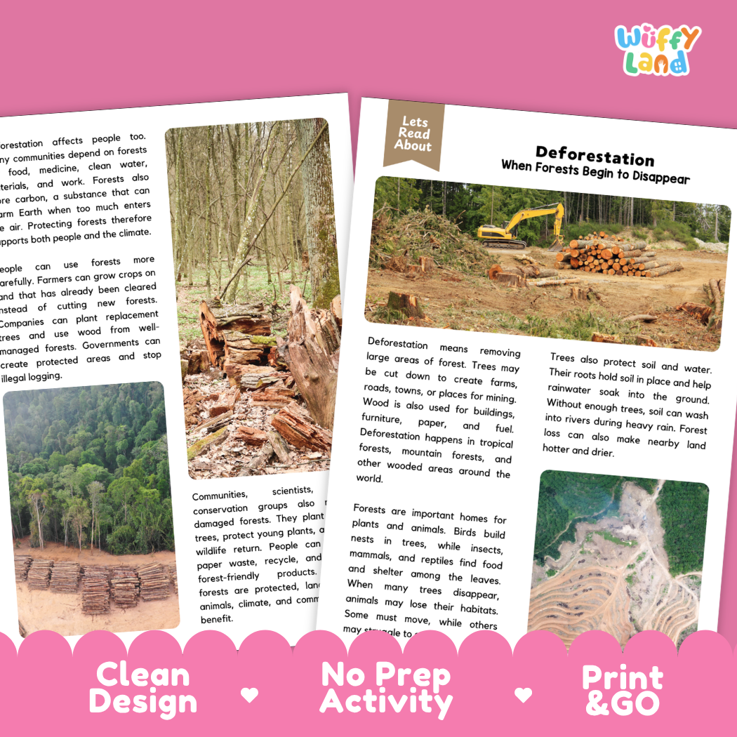 Teacher answer key page showing complete question solutions for Deforestation environmental science reading comprehension practice