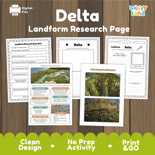 Delta Landform Research Page Worksheets and Reading Activity