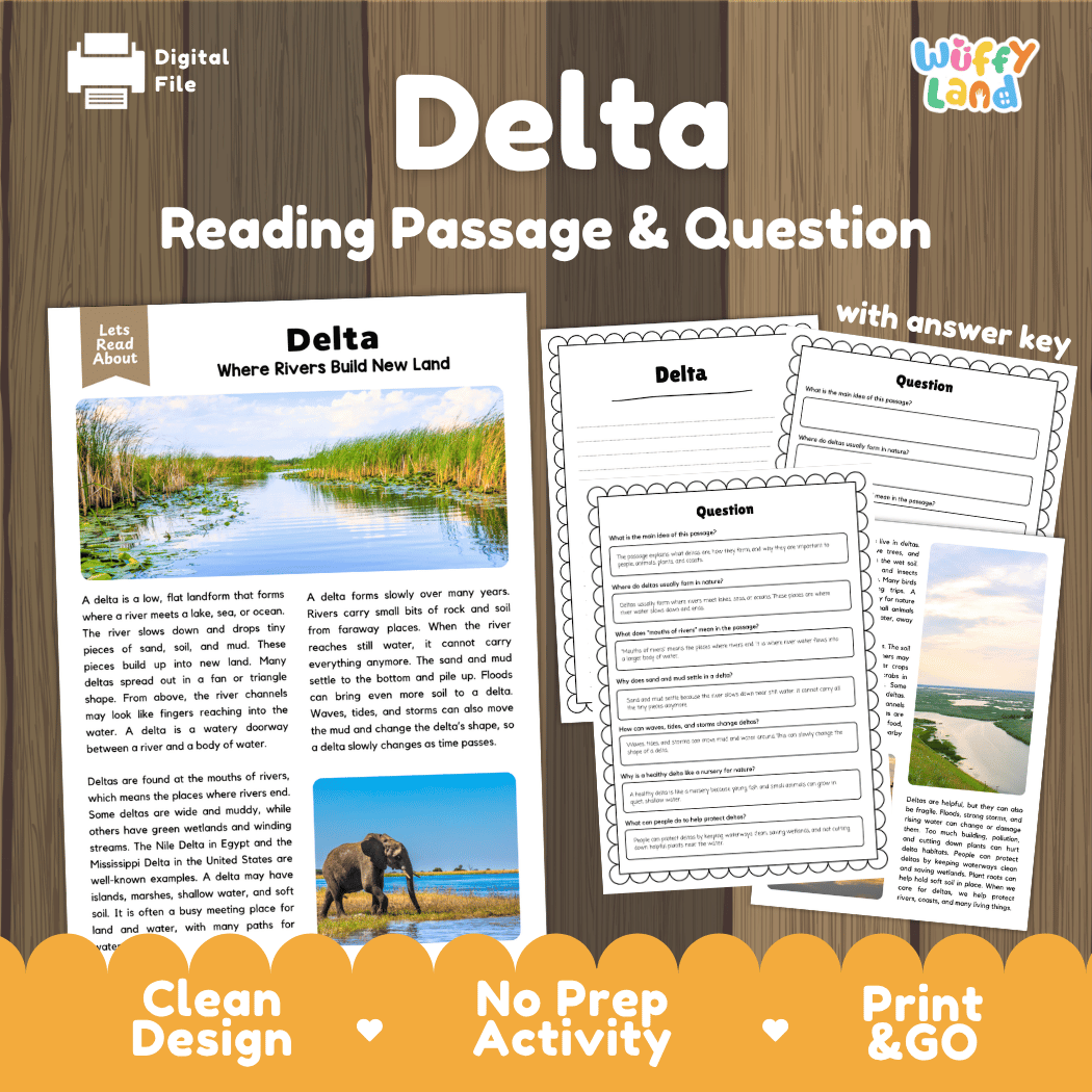 Delta Reading Passage and Questions Nonfiction Science Worksheets
