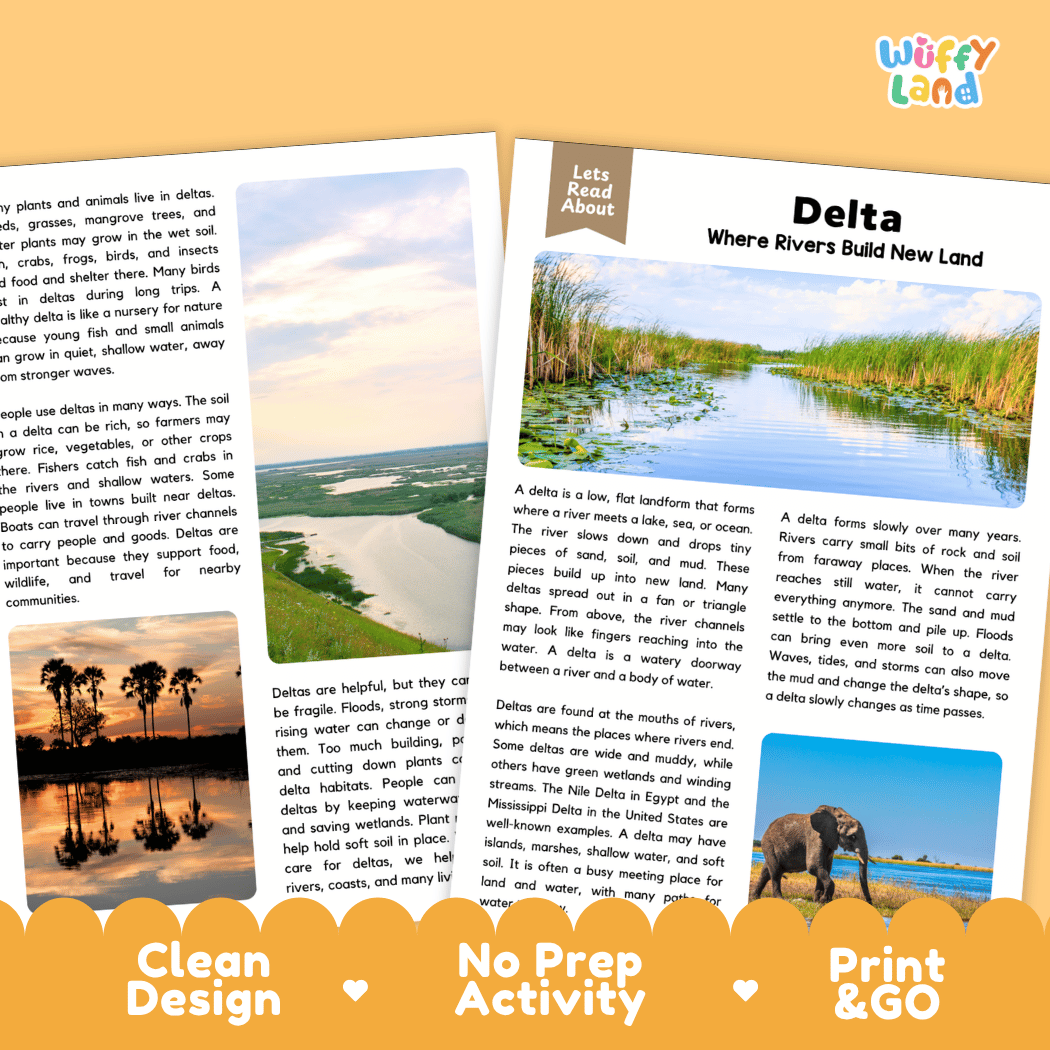 Delta Reading Passage and Questions Nonfiction Science Worksheets