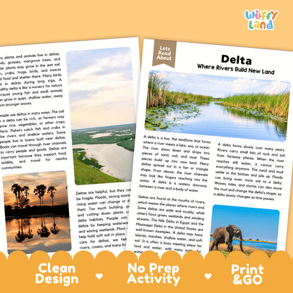 Delta Reading Passage and Questions Nonfiction Science Worksheets