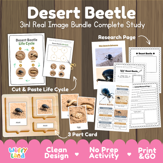Desert Beetle 3-in-1 real image bundle complete study cover showing cut and paste life cycle, 3 part cards, and research pages