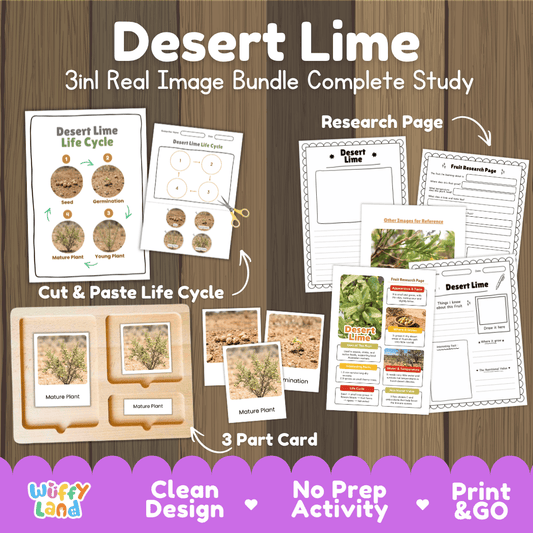Complete Desert Lime 3-in-1 real image study bundle featuring cut and paste worksheets, Montessori 3-part cards, and research pages 🍈🌱