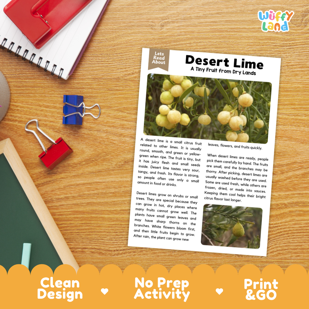 Student reading comprehension worksheet with short-answer questions and lined sections about the desert lime fruit