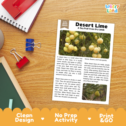 Student reading comprehension worksheet with short-answer questions and lined sections about the desert lime fruit