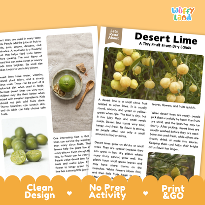 Teacher answer key page showing complete question solutions for Desert Lime nature and science reading comprehension practice