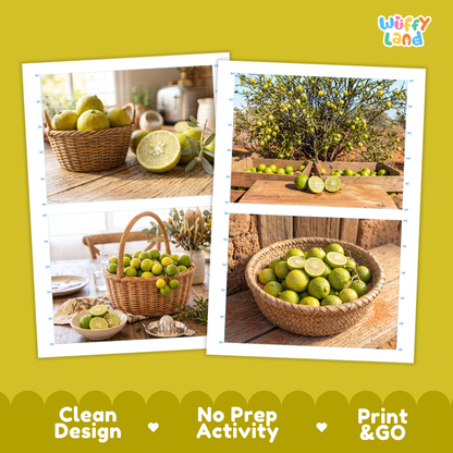 Printable activity sheets featuring photographic desert lime puzzle boards and cutting guides