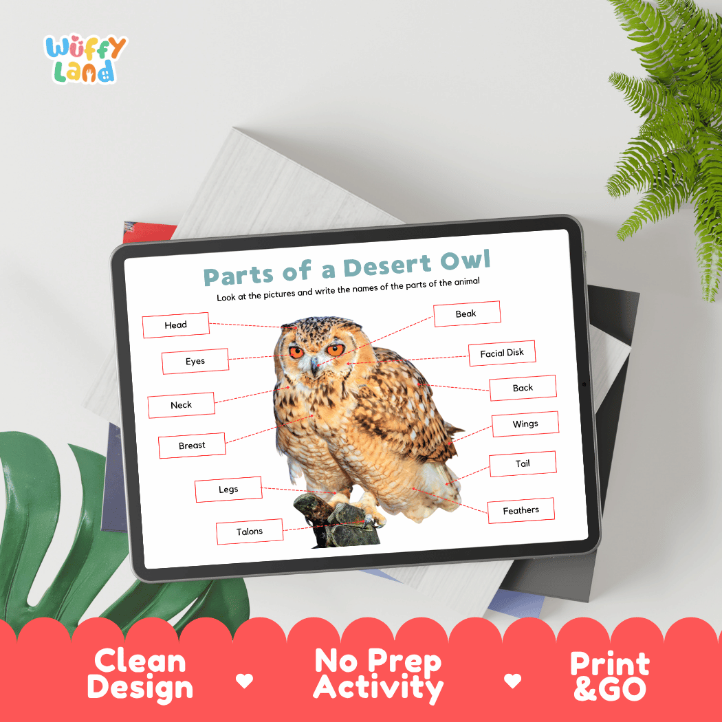 Hands-on desert owl anatomy cut and paste worksheet with printable word tags, callout pointer lines, and scissors graphic