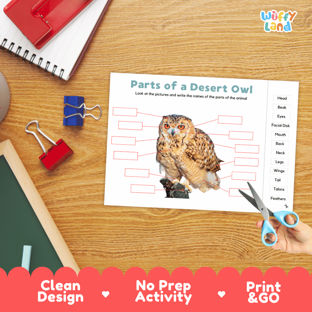 Differentiated desert owl body parts labeling worksheets featuring fill-in write-in boxes and vocabulary word bank