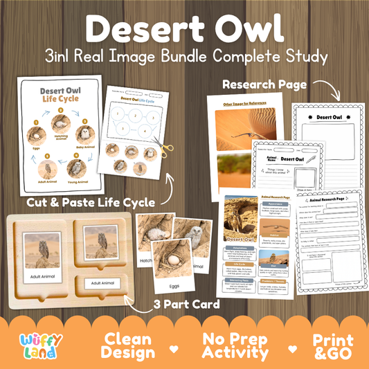 Desert Owl 3-in-1 real image bundle complete study cover showing cut and paste life cycle, 3 part cards, and research pages