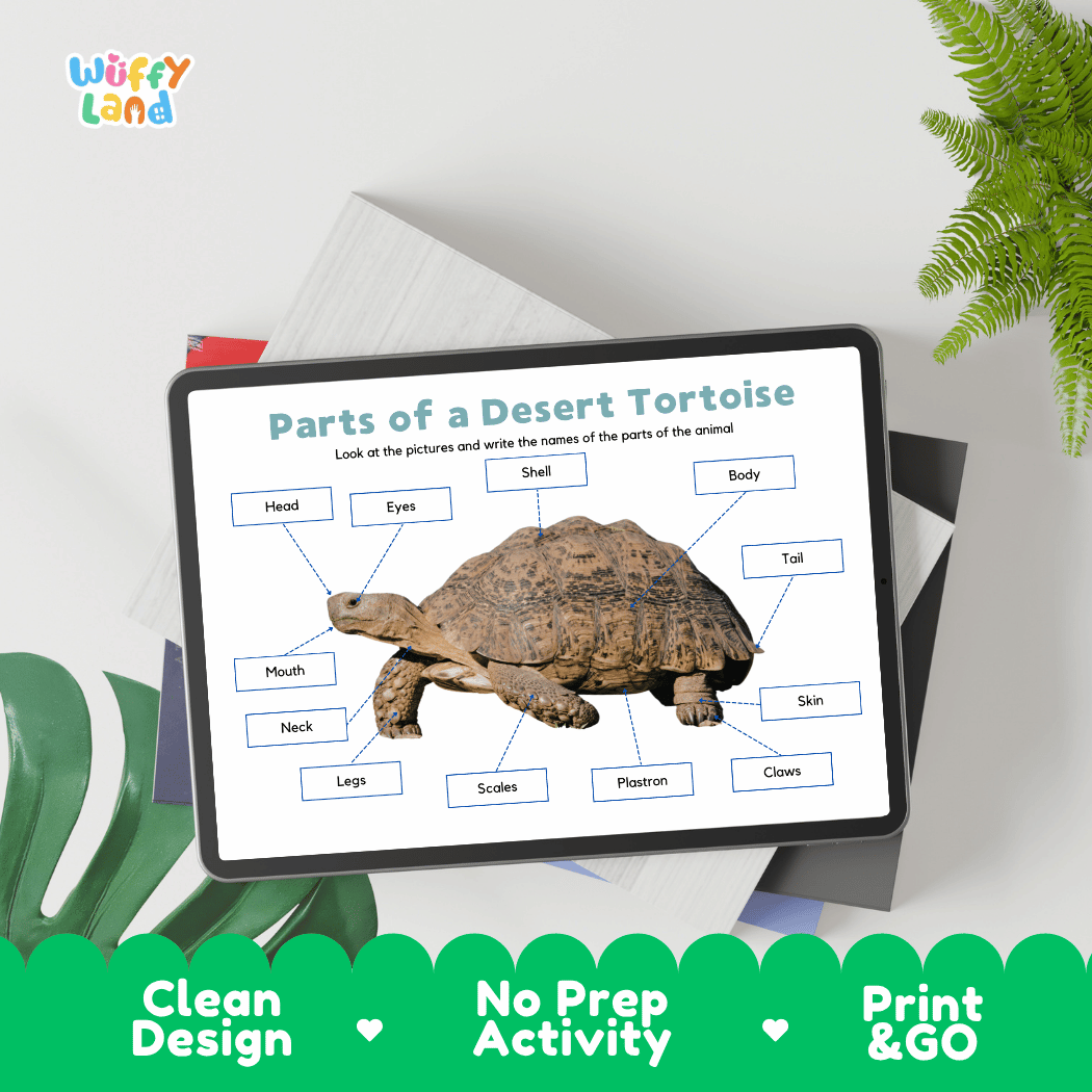 Hands-on desert tortoise anatomy cut and paste worksheet with printable word tags, callout pointer lines, and scissors graphic