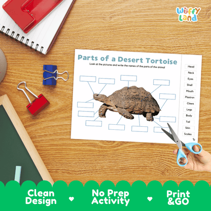 Differentiated desert tortoise body parts labeling worksheets featuring fill-in write-in boxes and vocabulary word bank