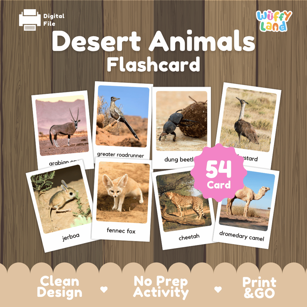 Desert Animals Flashcard digital file cover by Wiffly Land, showing sample animal cards including an antelope, roadrunner, dung beetle, ostrich, jerboa, fennec fox, cheetah, and dromedary camel on a wood-textured background.