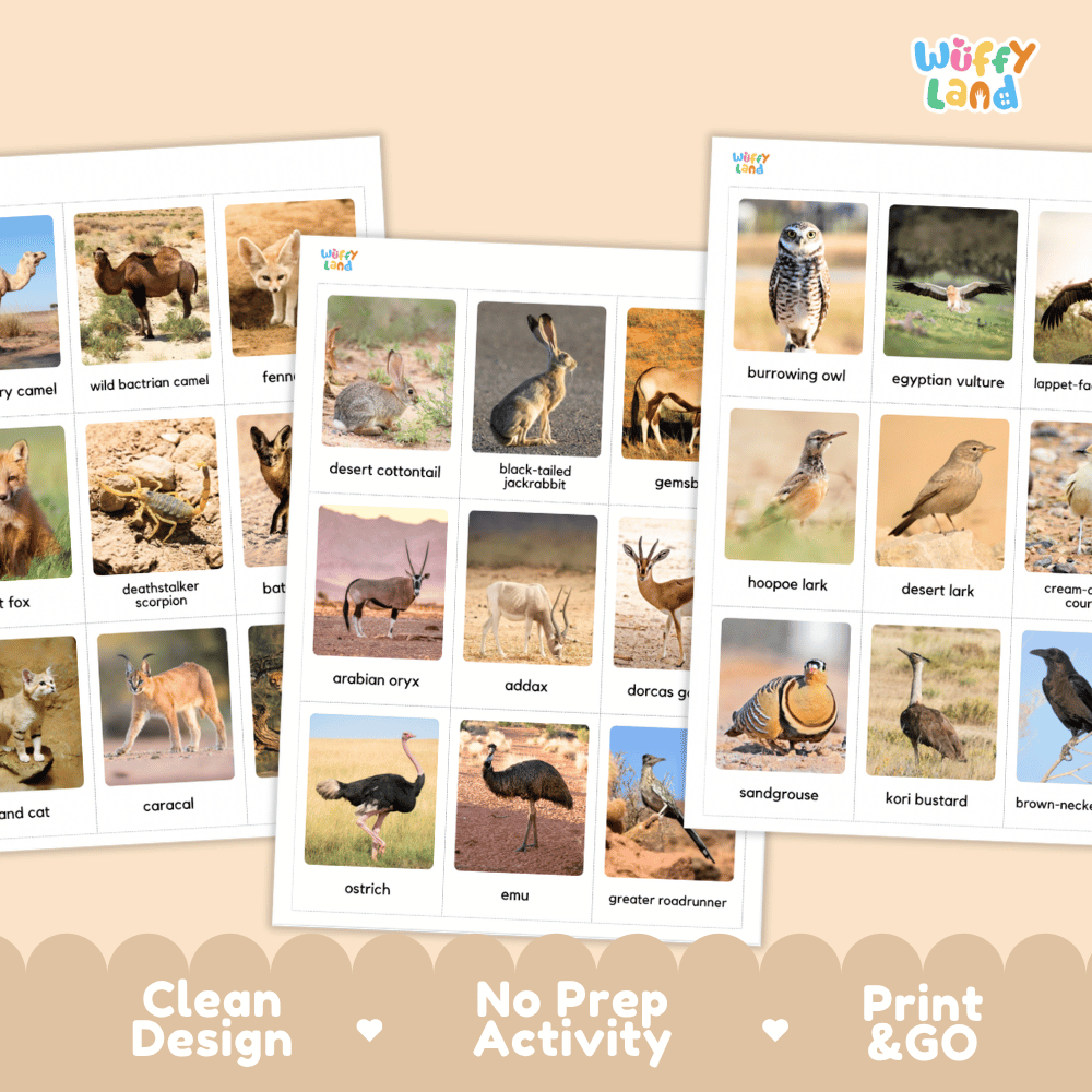 Three printed animal identification activity sheets from Wiffly Land are arranged on a beige background with decorative scalloped trim and text reading 'Clean Design', 'No Prep Activity', and 'Print & GO'. The sheets contain small labeled animal photos and are shown as a product listing graphic.