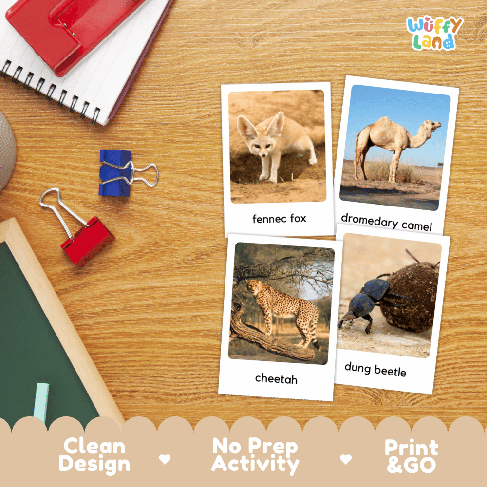 Four educational animal picture cards labeled 'fennec fox,' 'dromedary camel,' 'cheetah,' and 'dung beetle' arranged on a wooden desk with school supplies. The cards are part of an activity set branded 'Wiffly land,' with text at the bottom reading 'Clean Design,' 'No Prep Activity,' and 'Print & GO.
