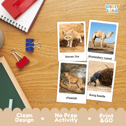 Four educational animal picture cards labeled 'fennec fox,' 'dromedary camel,' 'cheetah,' and 'dung beetle' arranged on a wooden desk with school supplies. The cards are part of an activity set branded 'Wiffly land,' with text at the bottom reading 'Clean Design,' 'No Prep Activity,' and 'Print & GO.