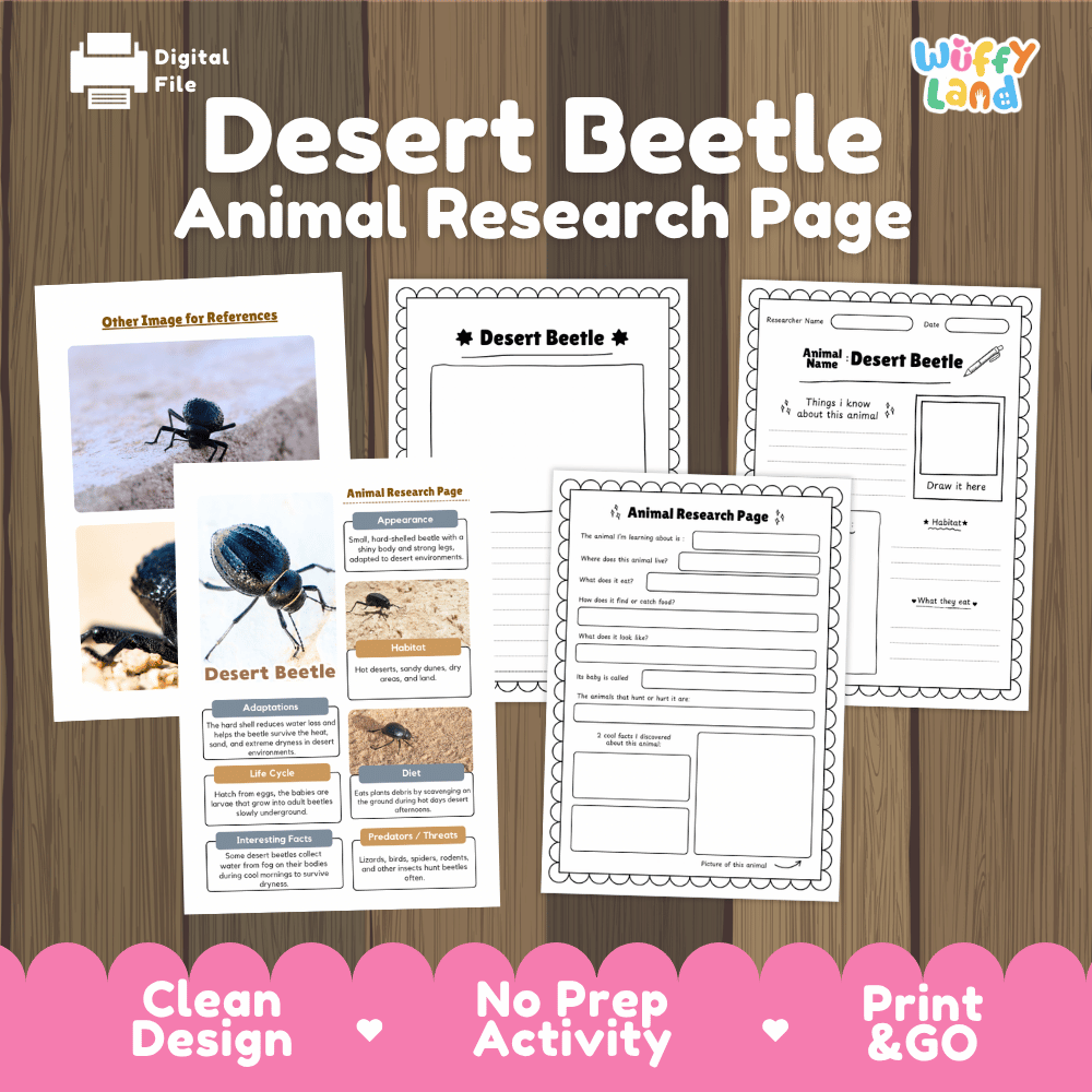 Desert Beetle Animal Research Page and Worksheets