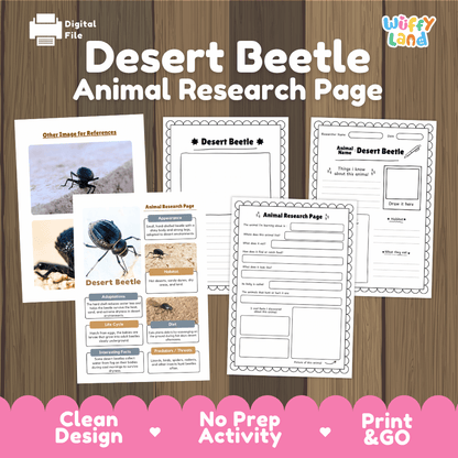 Desert Beetle Animal Research Page and Worksheets