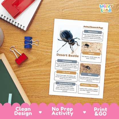 Desert Beetle Animal Research Page and Worksheets