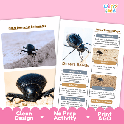 Desert Beetle Animal Research Page and Worksheets