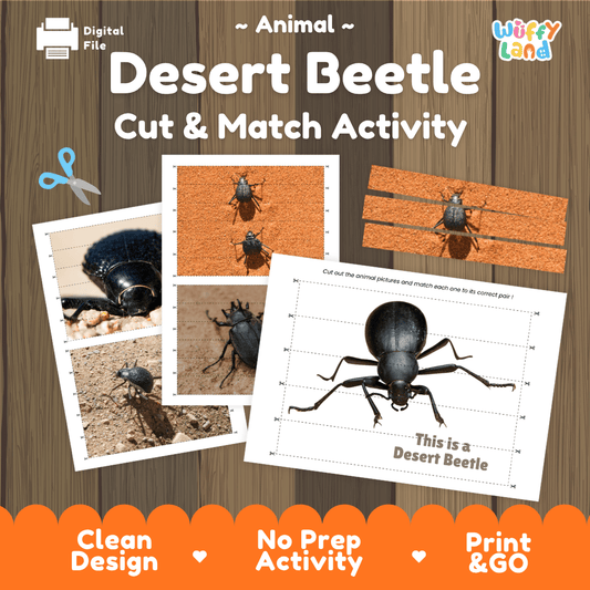 Desert Beetle Cut and Match Activity Worksheets | Animal Puzzle Printables