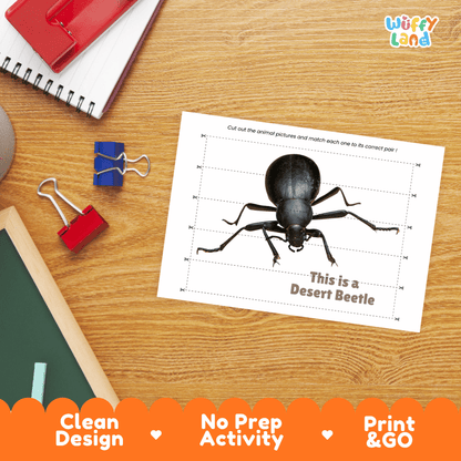 Desert Beetle Cut and Match Activity Worksheets | Animal Puzzle Printables