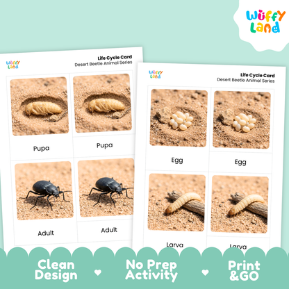Two printed desert beetle life cycle cards shown on a mint green background. The cards feature labeled photos of pupa, egg, adult, and larva stages in sand, with the Wuffy Land logo at the top and promotional text along the bottom.