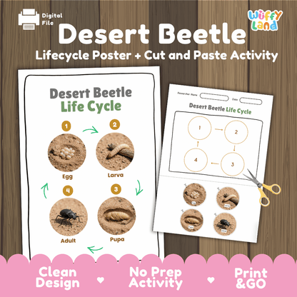 Desert Beetle Life Cycle Poster and Cut and Paste Activity Worksheets