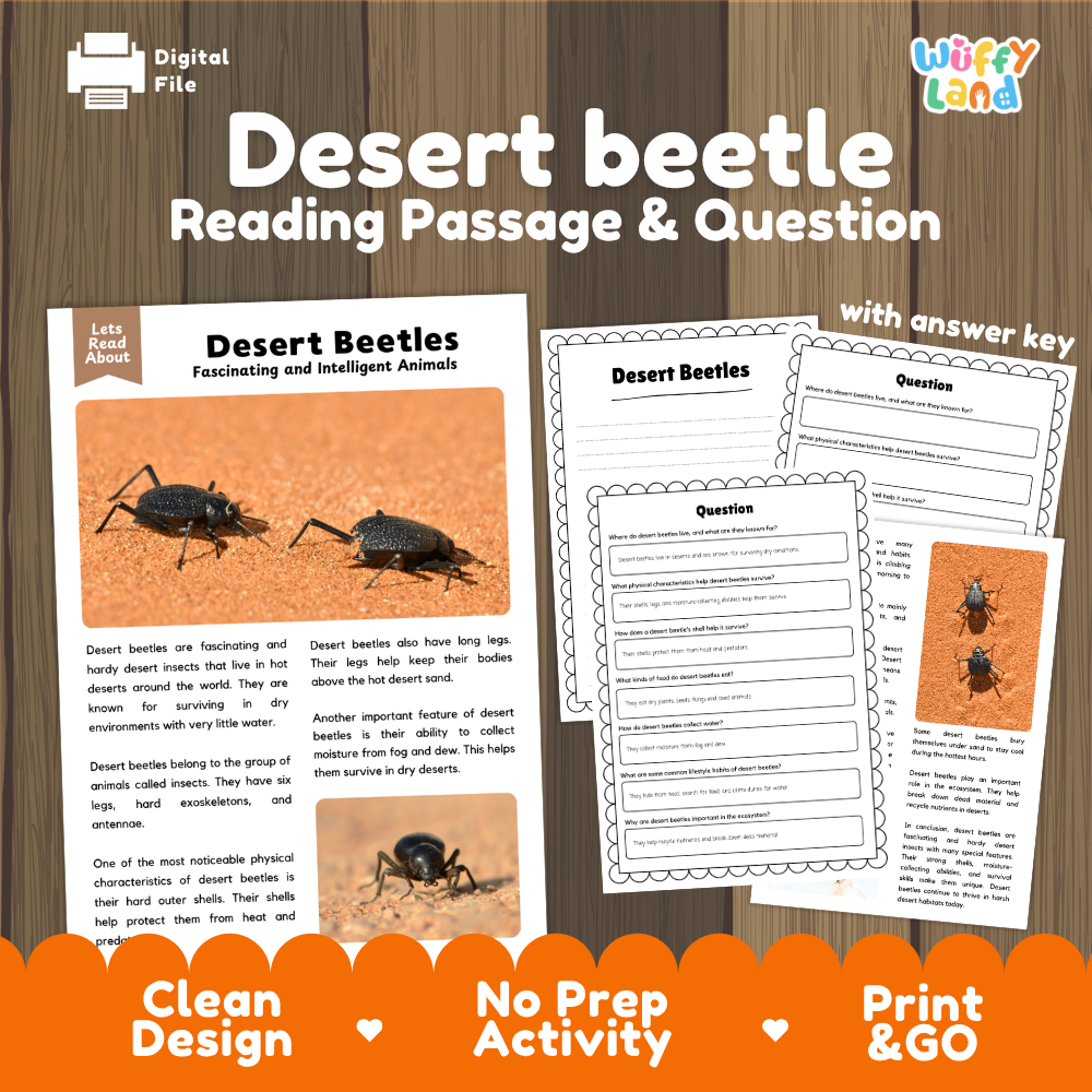 Desert Beetle Reading Passage and Comprehension Questions Worksheets