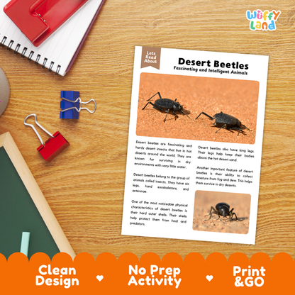Desert Beetle Reading Passage and Comprehension Questions Worksheets